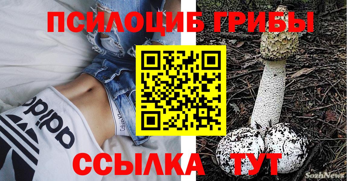 Галлюциногенные грибы Cubensis  Вход с VPN  Псилоцибиновые грибы ЛСД  Кувандык 